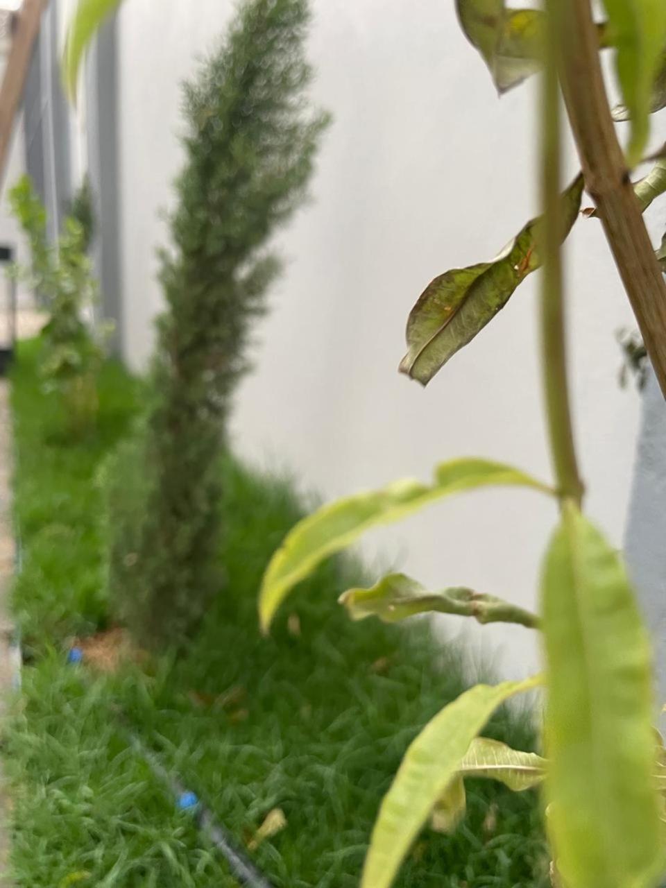 Garden Land Aparthotel Khamis Mushait Luaran gambar